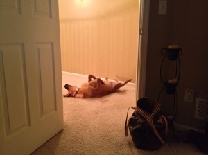 Sleeping comfortably 